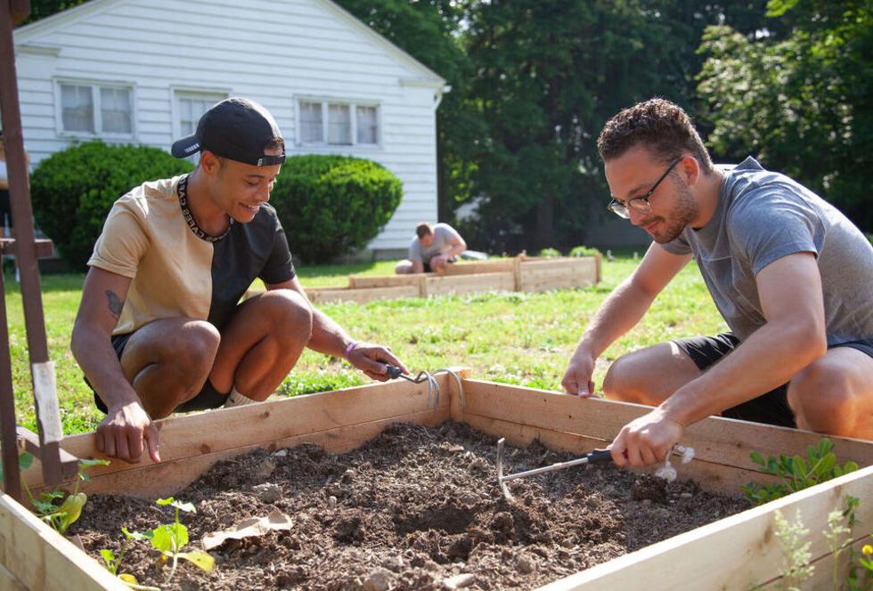 两名男学生在校园里照料社区花园